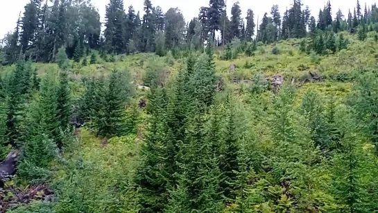 ПОДЬЕМНИК НА ГОРУ КОКУЯ ТЕЛЕЦКОЕ ОЗЕРО.