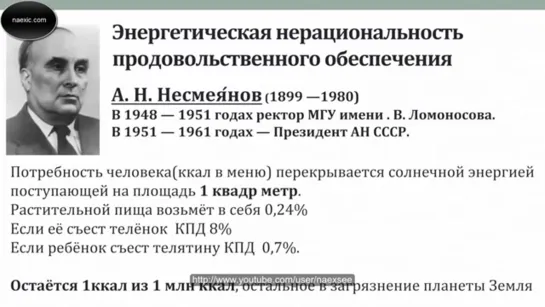 В.А. Ефимов - О правильном питании и не только