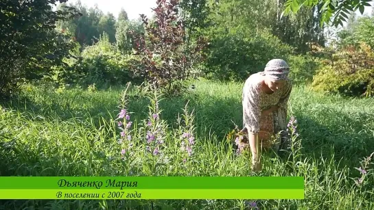 Видео от Ветры Сварги