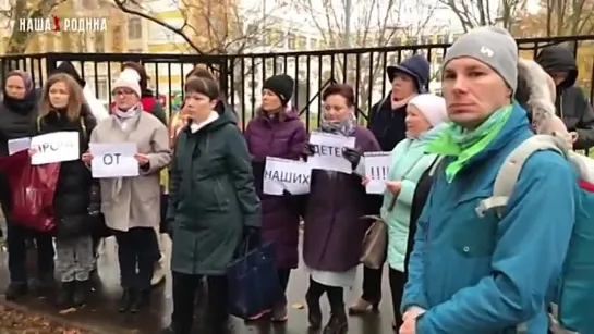 ЛЮДИ ОБРАЩАЮТСЯ К ПУТИНУ И МИТИНГИ ПО ВСЕЙ СТРАНЕ ПРОТИВ ОБЯЗАТЕЛЬНОЙ ВЕТЕРИНАРИ