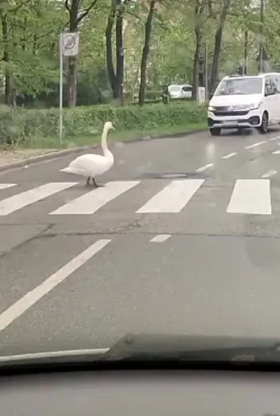 Прекрасное семейство🥰