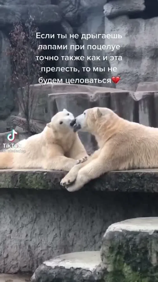 Поцелуйкины🥰