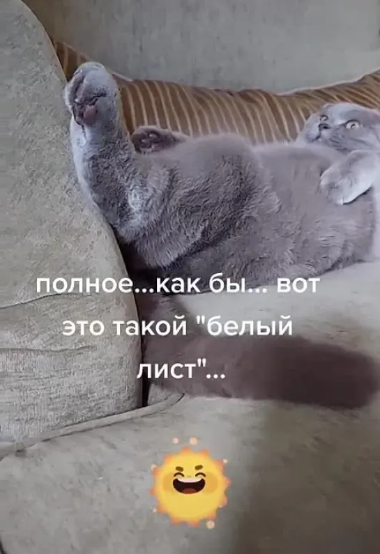 Ничегоеделание😻