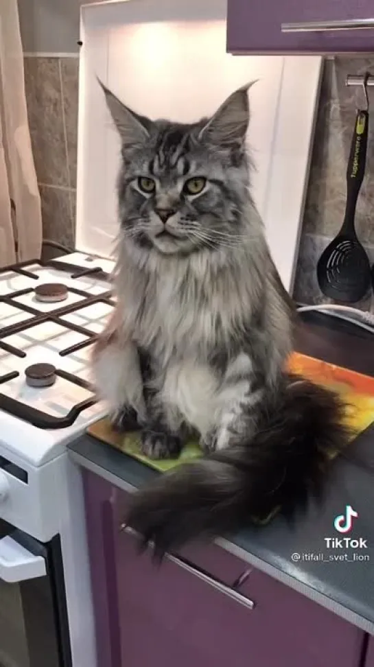 Сладкий😻