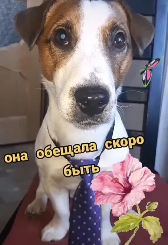 Привет от весны🤩