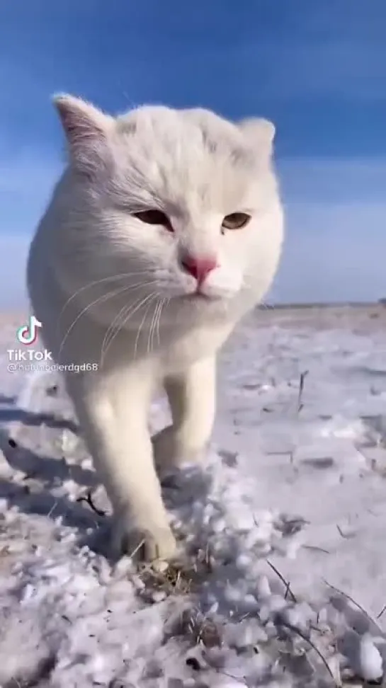 С чистого листа😻