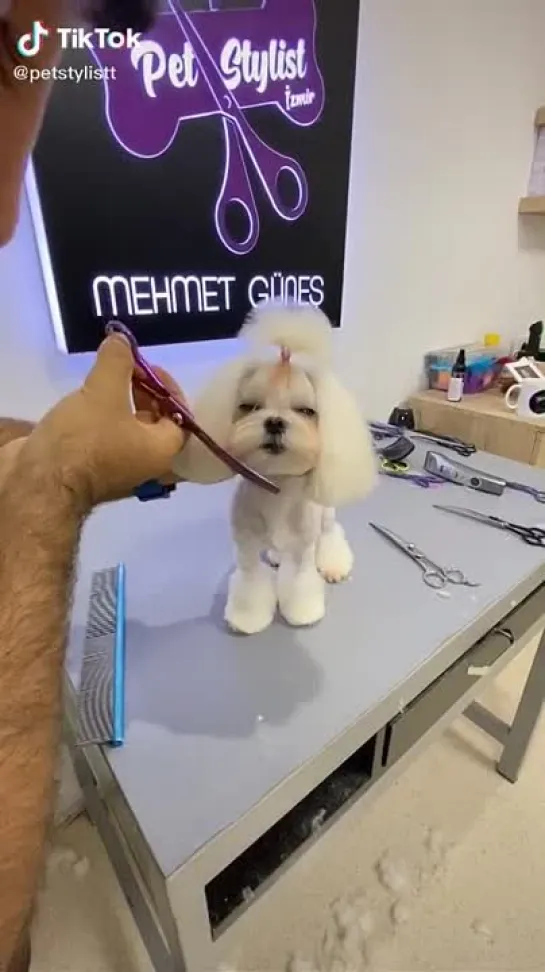 Прелестная девочонка🐶