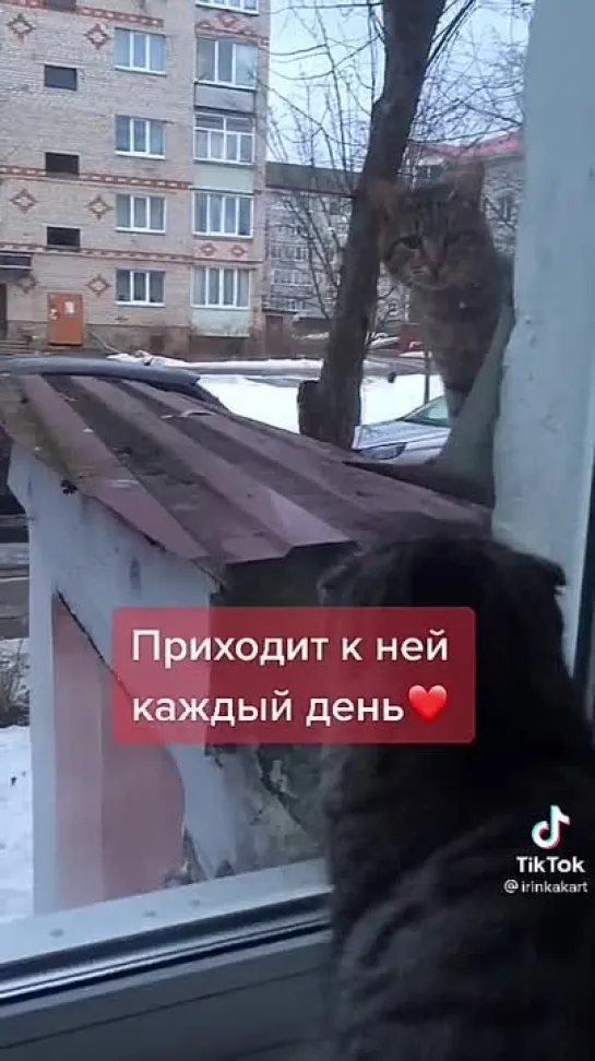 Мне без тебя не кайф... 😻