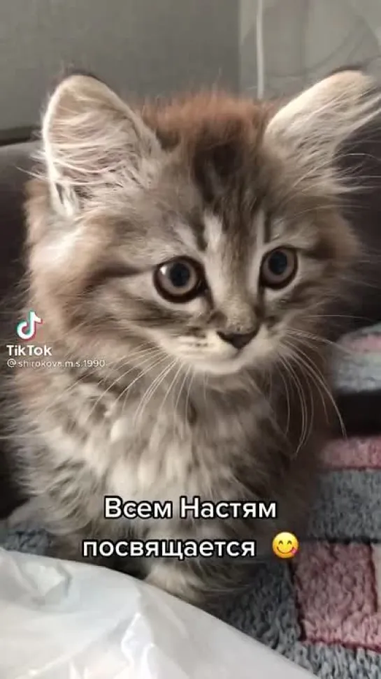 Моей Настёне🥰