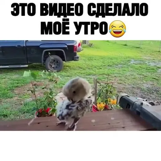 Умора😂😂