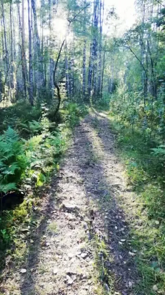 На прогулке 🌲🏡