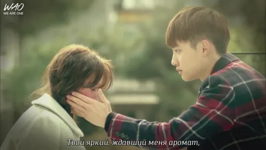 [MV] EXO по соседству | Мои соседи EXO | EXO Next Door ~ Сердце бьётся (Красивая)