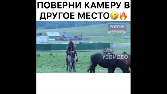 Поверни камеру