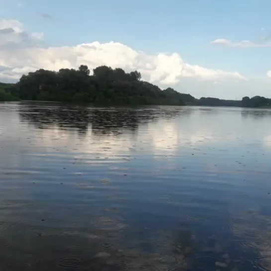 Видео от Анастасии Сакмаровой-Видмайер