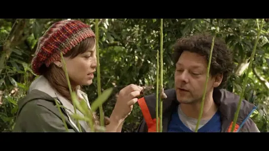 Кулинарная книга любви / The Food Guide To Love / 2013 / АП (Гаевский) / HDRip