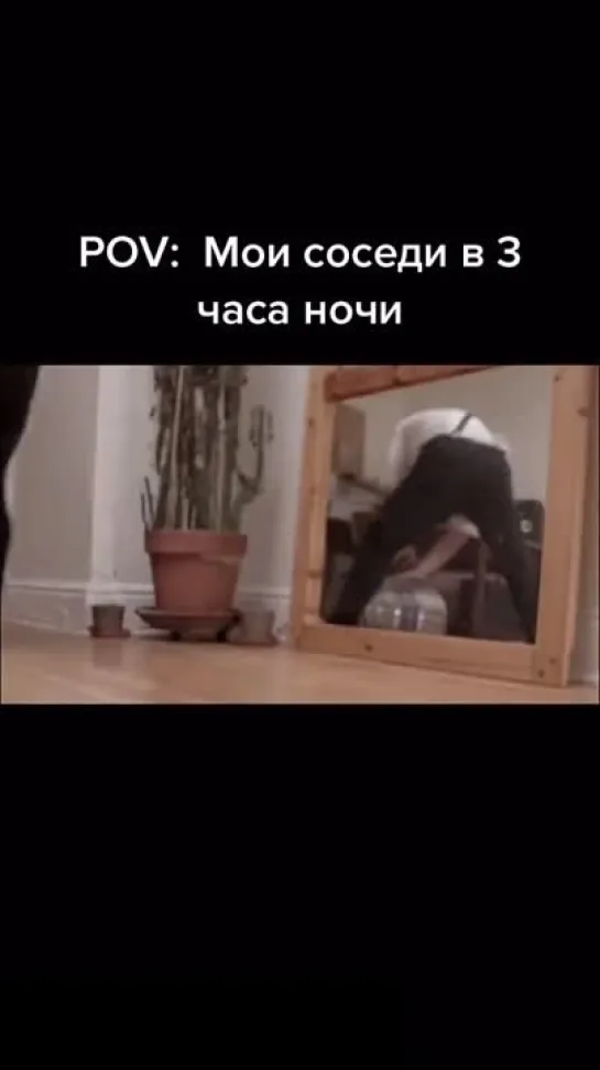 Любимые соседи