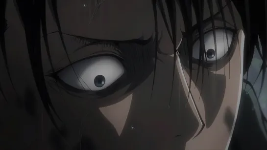 Levi's Pain