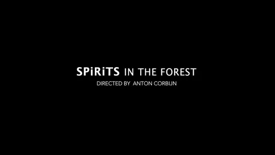 Depeche Mode "SPIRITS In The Forest" (trailer)