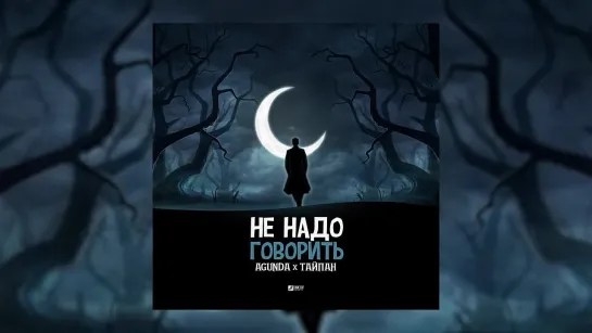 Agunda, Тайпан - Не надо говорить (Официальная премьера трека)