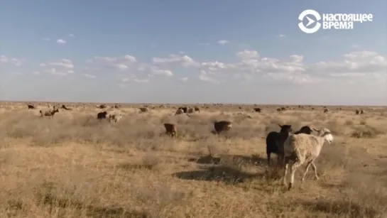 Самая горячая точка России. Село Утта. Калмыкия. Неизвестная Россия