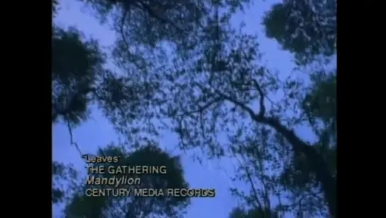 Gathering - Leaves (1995)