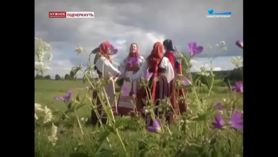 В программе Нужное подчеркнуть  С.В. Жарникова