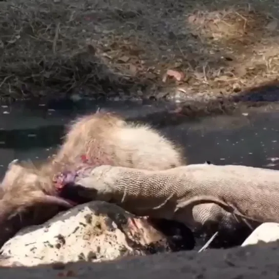 Видео от Дёни Кустова