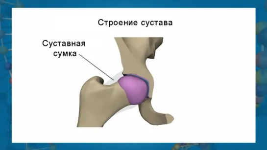 Соединение костей