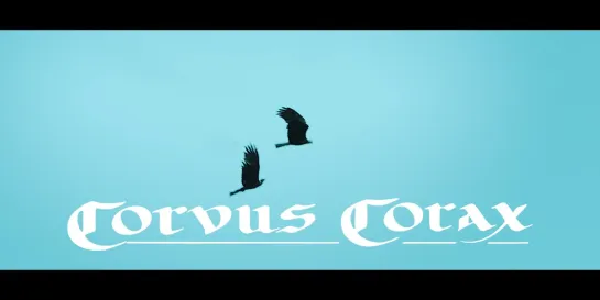 Corvus Corax | 13 апреля | клуб Opera Concert Club