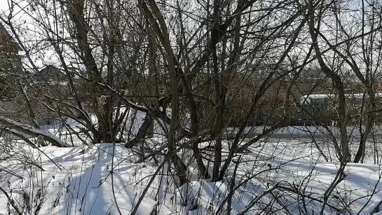 Московская область, Городской округ Подольск, г. Подольск, ул. Нагорная