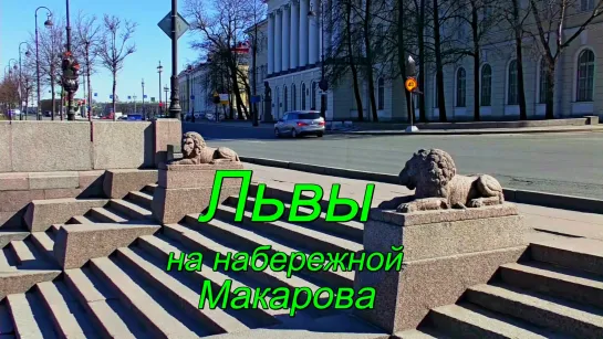 Львы на набережной Макарова