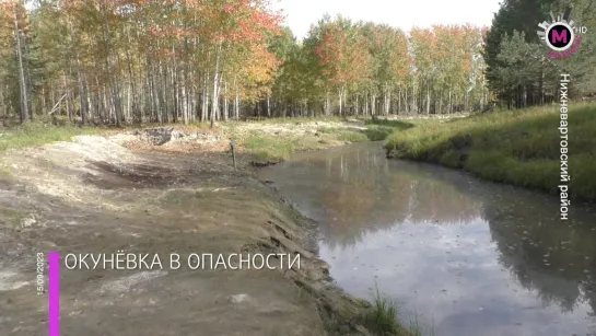 Мегаполис - Окунёвка в опасности - Нижневартовский район