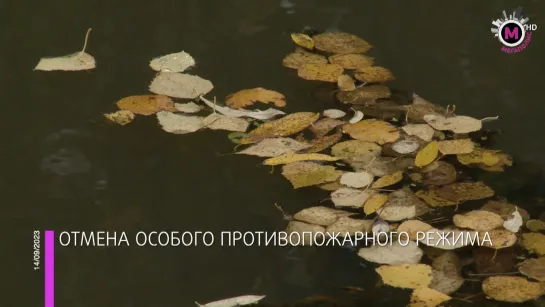 Мегаполис - Сняли особый противопожарный режим - Югра