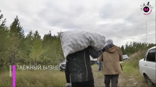 Мегаполис - Таёжный бизнес - Сургутский район