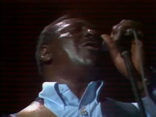 ALBERT KING - Meet Live Blues.