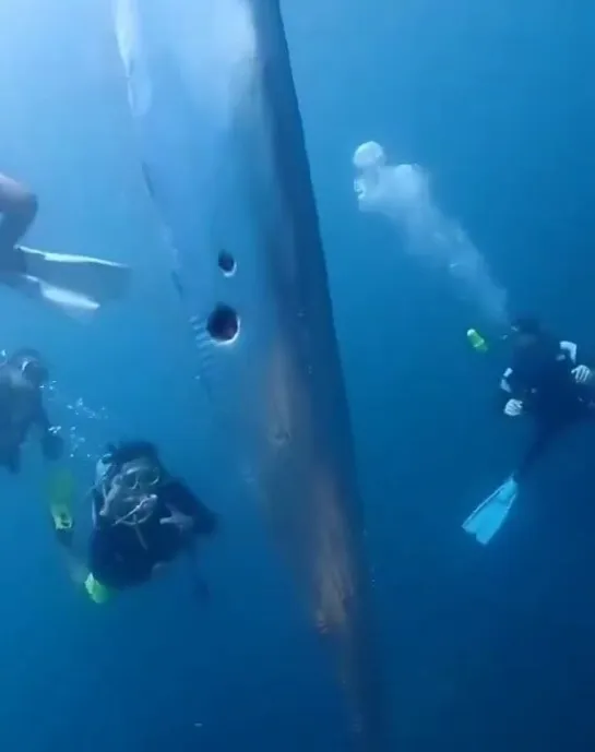 Видео от Евгения Малышева