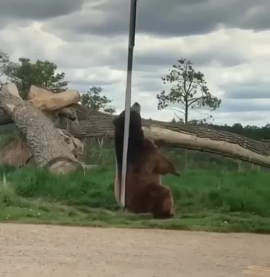 Видео от Евгения Малышева