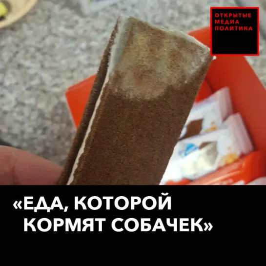 «Еда, которой кормят собачек»