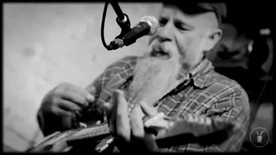 SEASICK STEVE - Back In The Dog House