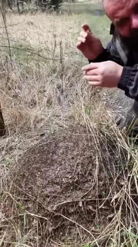 Видео от Группа которую нельзя называть (ГКНН)