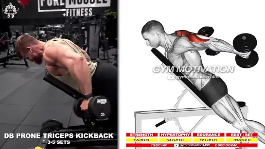 6 Fastest Effective Triceps Exercises