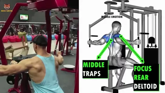 16 BEST REAR SHOULDERS WORKOUT WITH BARBELL DUMBELLS AND CABLE