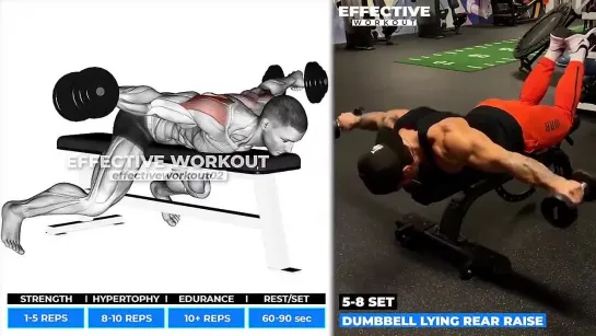 Build Rear Delt Grow Fast (8 Effective Exercises)