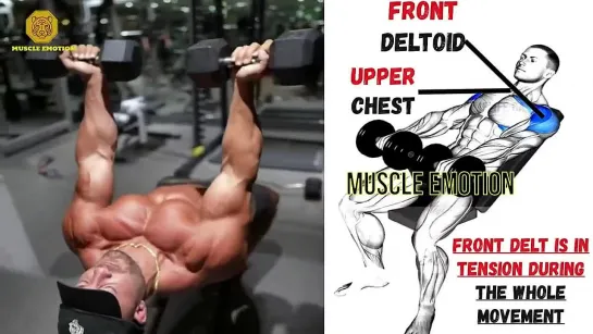 6 BEST FRONT SHOULDERS EXERCICES WITH DUMBELLS ONLY AT HOME