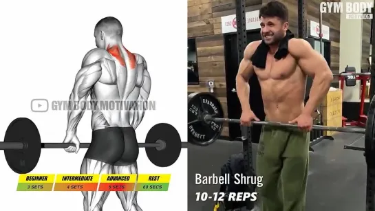 6 Barbell Exercises to Build Massive Shoulders