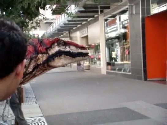 Velociraptor in Melbourne