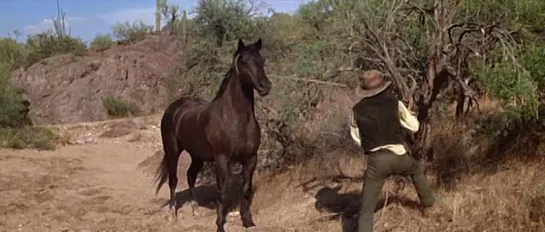 Elvis Presley "Charro!" (1969)