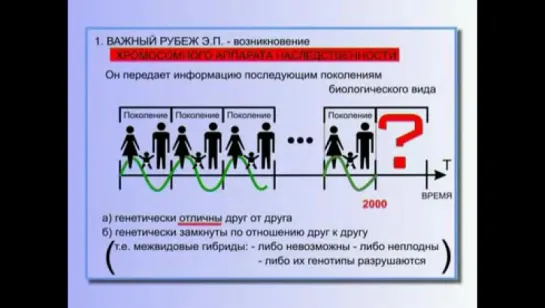 4 КОБ - Глобальный эволюционный процесс