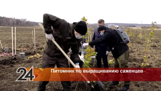 В Альметьевском районе появился питомник по выращиванию саженцев