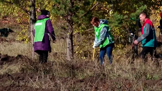 В Альметьевске помогали трудоустроиться предпенсионерам